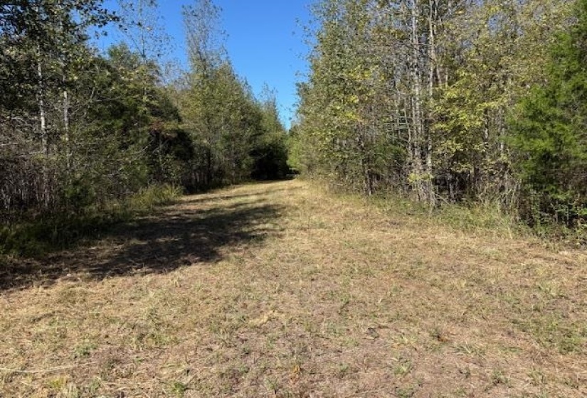 83 HAYS RD, Moscow, Tennessee 38057, ,Land,For Sale,HAYS,10208615