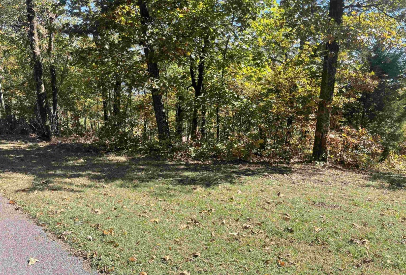 87 CR 262 RD, Iuka, Mississippi 38852, ,Land,For Sale,CR 262,10208636