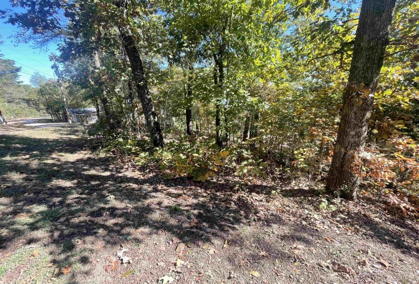 87 CR 262 RD, Iuka, Mississippi 38852, ,Land,For Sale,CR 262,10208636
