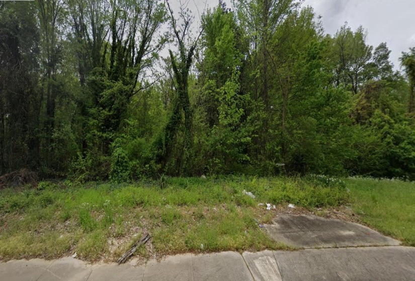 999 RAINES RD, Memphis, Tennessee 38109, ,Land,For Sale,RAINES,10208670