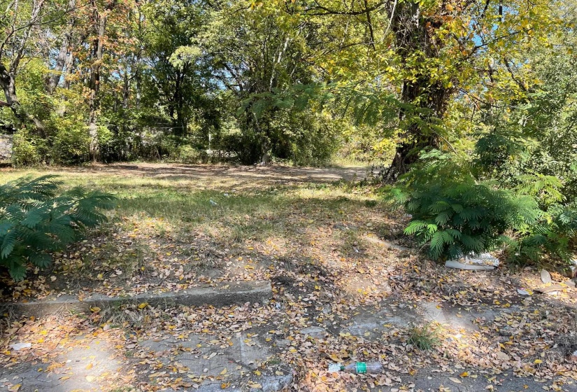 View of yard with a wooded view