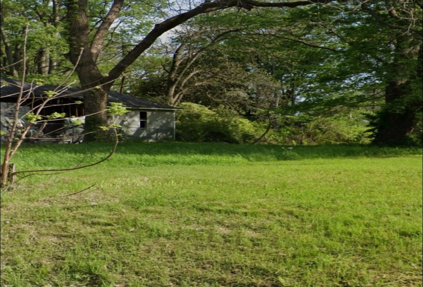 View of grassy yard
