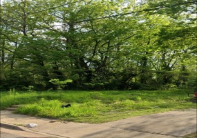 1299 HORACE ST, Memphis, Tennessee 38106, ,Land,For Sale,HORACE,10208709 1299 HORACE ST, Memphis, Tennessee 38106, ,Land,For Sale,HORACE,10208709