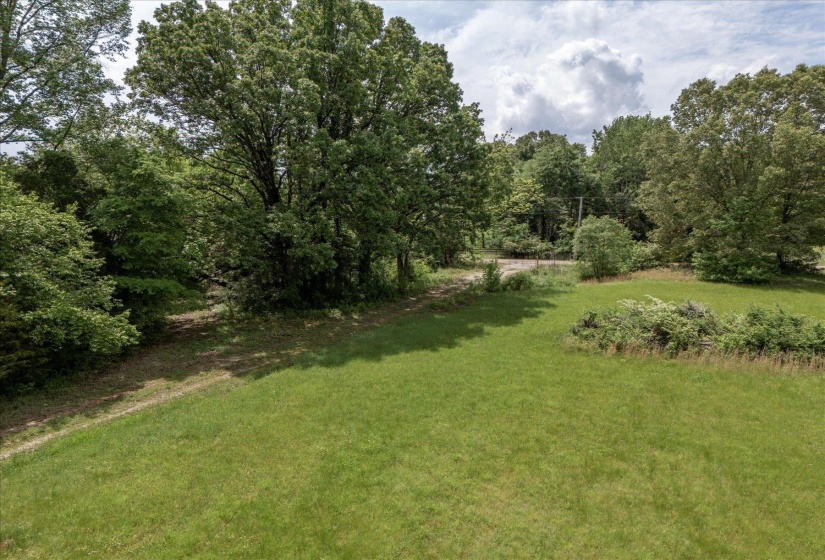 View of green lawn