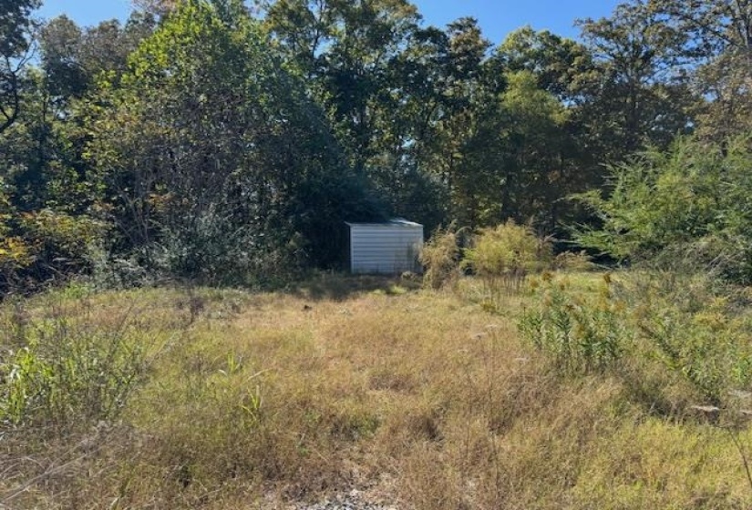 4280 POWELL CHAPEL RD, Middleton, Tennessee 38052, 0 , 0 ,0,Land,For Sale,POWELL CHAPEL,0,10208796