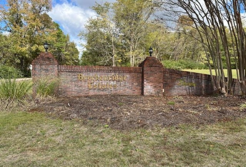 3 SUZY CV, Savannah, Tennessee 38372, ,Land,For Sale,SUZY,10208817