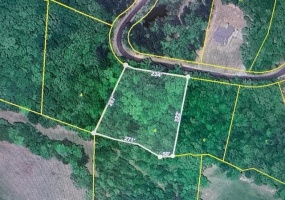 5 SUZY CV, Savannah, Tennessee 38372, ,Land,For Sale,SUZY,10208820 5 SUZY CV, Savannah, Tennessee 38372, ,Land,For Sale,SUZY,10208820