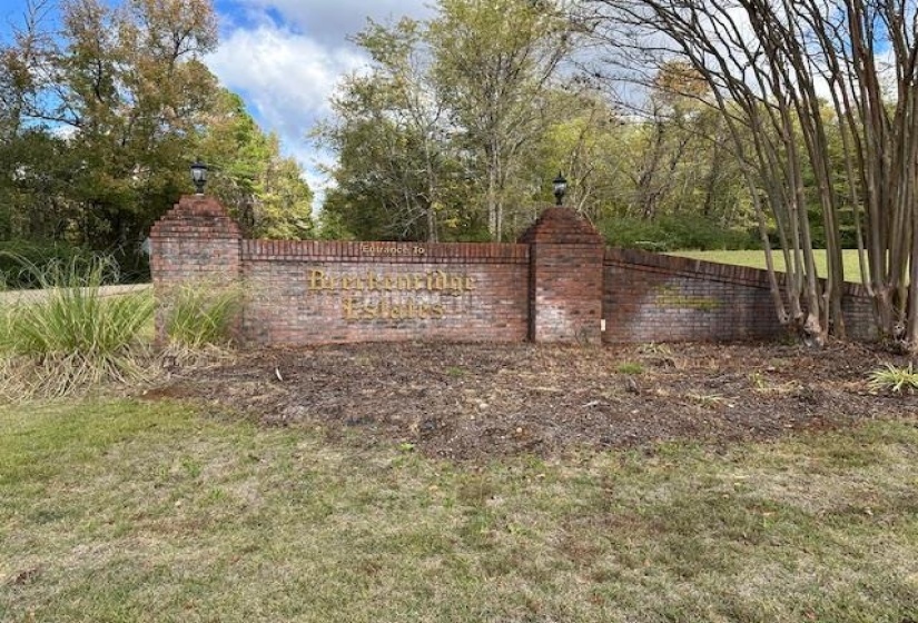 5 SUZY CV, Savannah, Tennessee 38372, ,Land,For Sale,SUZY,10208820