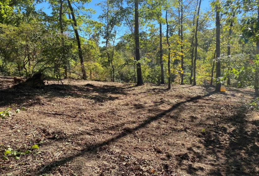 HUGHES RD, Henderson, Tennessee 38340, 0 , 0 ,0,Land,For Sale,HUGHES,0,10208864