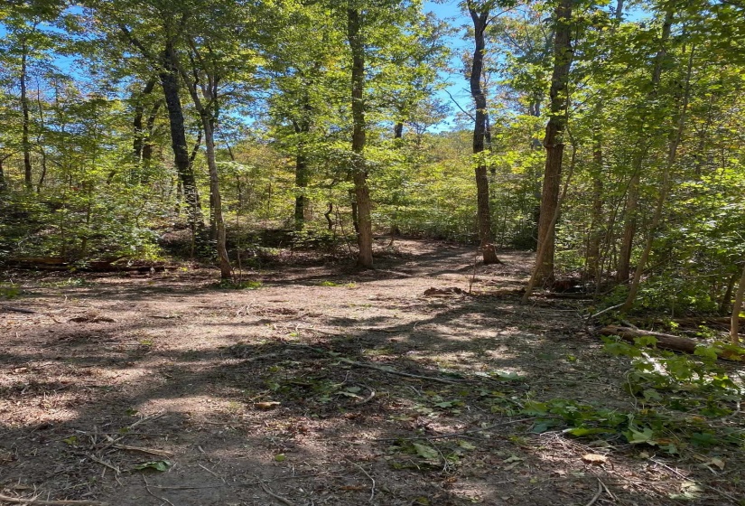 HUGHES RD, Henderson, Tennessee 38340, 0 , 0 ,0,Land,For Sale,HUGHES,0,10208864