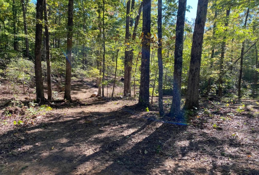 HUGHES RD, Henderson, Tennessee 38340, 0 , 0 ,0,Land,For Sale,HUGHES,0,10208864