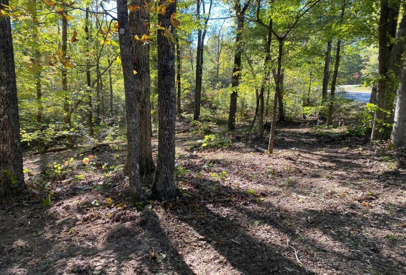 HUGHES RD, Henderson, Tennessee 38340, 0 , 0 ,0,Land,For Sale,HUGHES,0,10208864