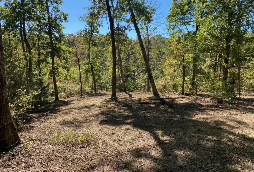 HUGHES RD, Henderson, Tennessee 38340, 0 , 0 ,0,Land,For Sale,HUGHES,0,10208864
