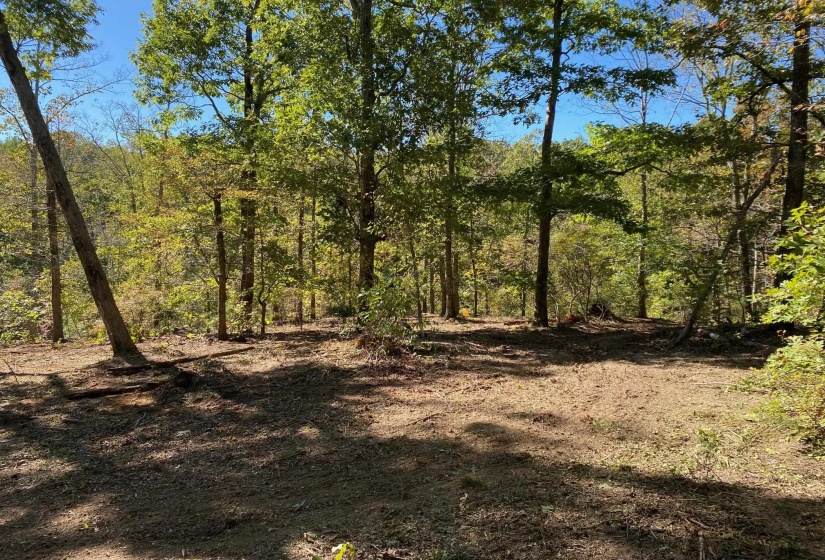 HUGHES RD, Henderson, Tennessee 38340, 0 , 0 ,0,Land,For Sale,HUGHES,0,10208864