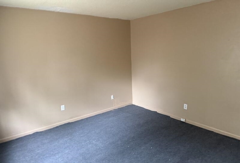 Unfurnished room featuring carpet floors and baseboards