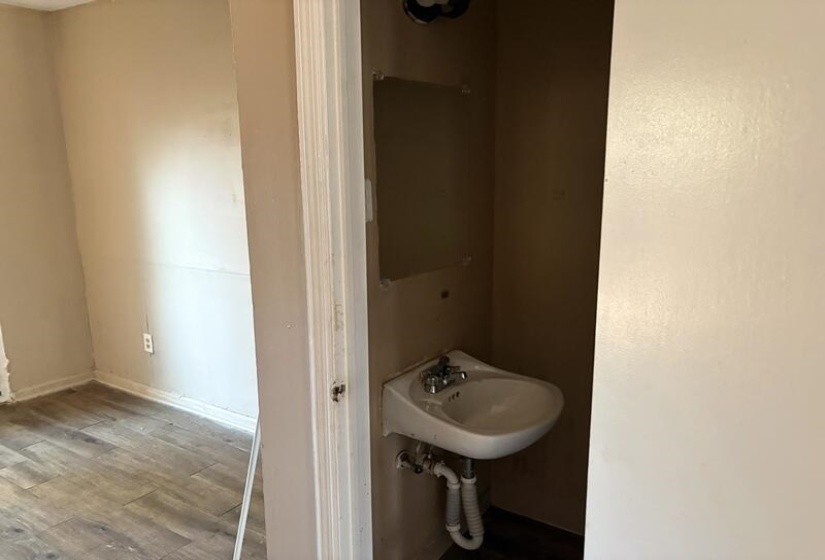 Bathroom with wood finished floors and a sink
