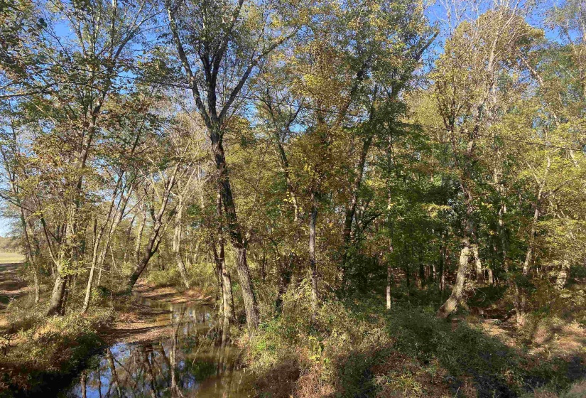 1 SALTILLO RD, Saltillo, Tennessee 38370, ,Land,For Sale,SALTILLO,10209176