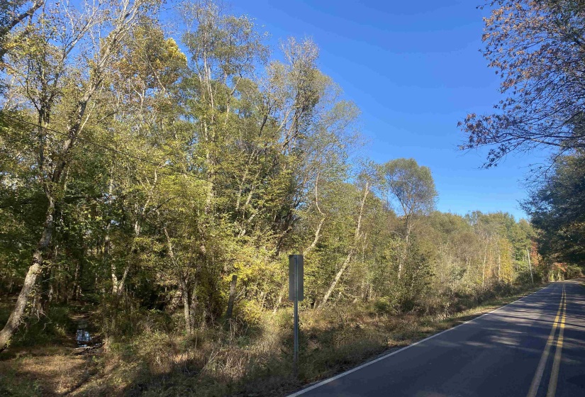 1 SALTILLO RD, Saltillo, Tennessee 38370, ,Land,For Sale,SALTILLO,10209176