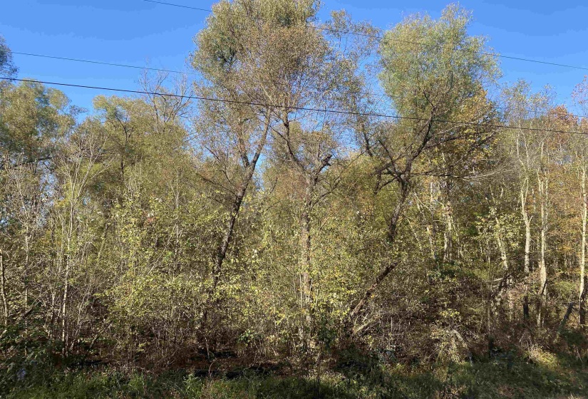 1 SALTILLO RD, Saltillo, Tennessee 38370, ,Land,For Sale,SALTILLO,10209176