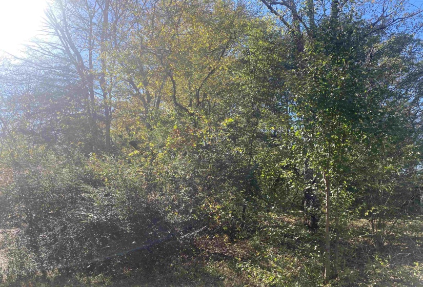 1 SALTILLO RD, Saltillo, Tennessee 38370, ,Land,For Sale,SALTILLO,10209176