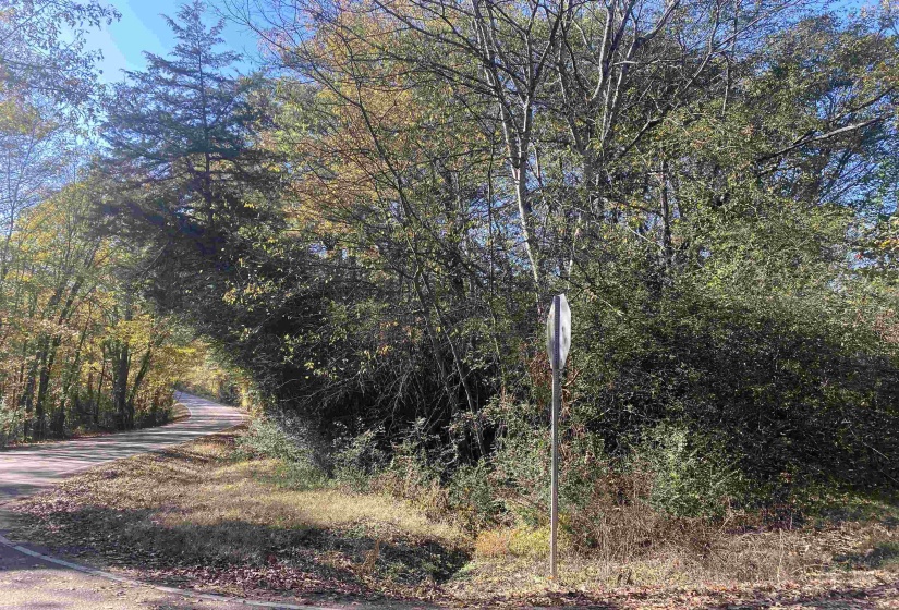 1 SALTILLO RD, Saltillo, Tennessee 38370, ,Land,For Sale,SALTILLO,10209176