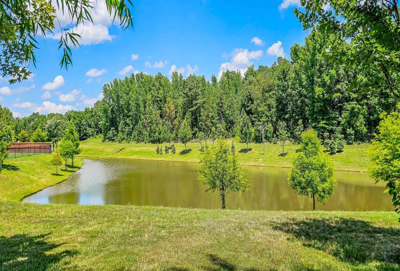 834 CYPRESS ROCK CV, Collierville, Tennessee 38017, 5 Bedroom Bedrooms, 15 Room Rooms,4.1 BathroomBathrooms,Residential,For Sale,CYPRESS ROCK,0,10209158