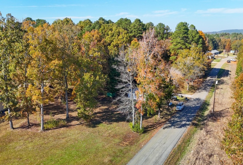 0 CR 171 RD, Iuka, Mississippi 38852, 0 , 0 ,0,Land,For Sale,CR 171,0,10209186