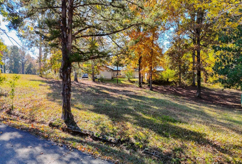 0 CR 171 RD, Iuka, Mississippi 38852, 0 , 0 ,0,Land,For Sale,CR 171,0,10209186