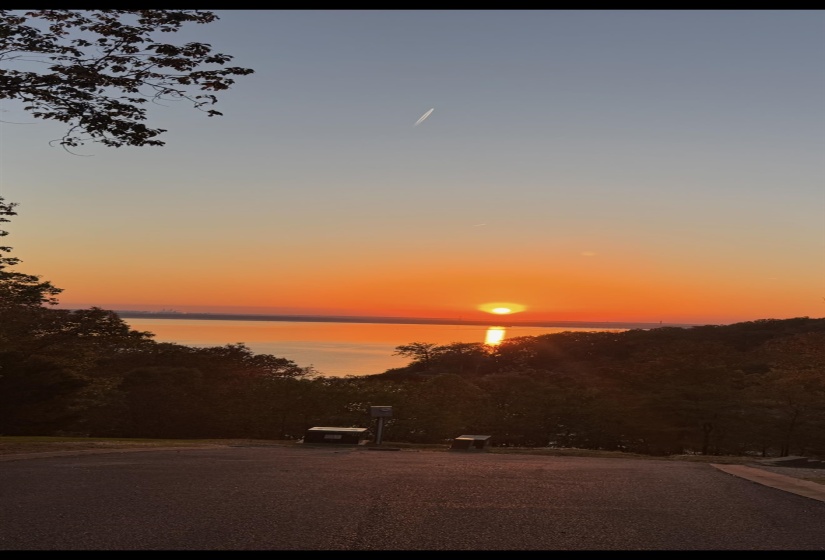 115 GENTLE RIDGE WAY, Savannah, Tennessee 38372, ,Land,For Sale,GENTLE RIDGE,10209348