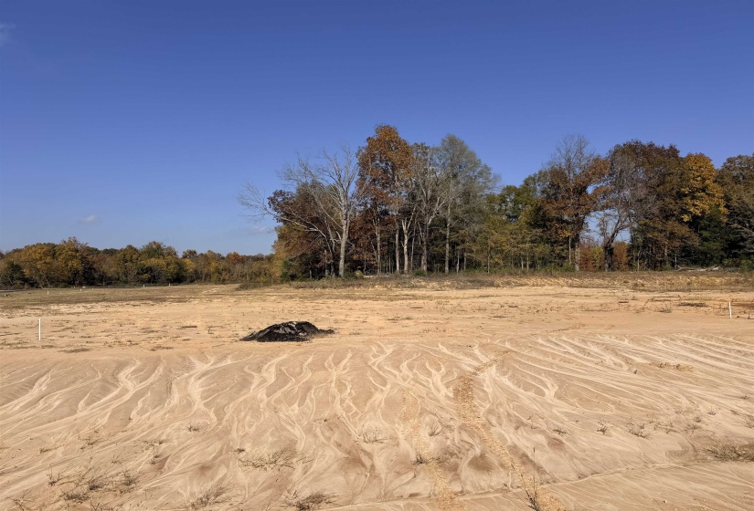 LOT 64 JACOBS RIDGE LN, Piperton, Tennessee 38017, ,Land,For Sale,JACOBS RIDGE,10209394