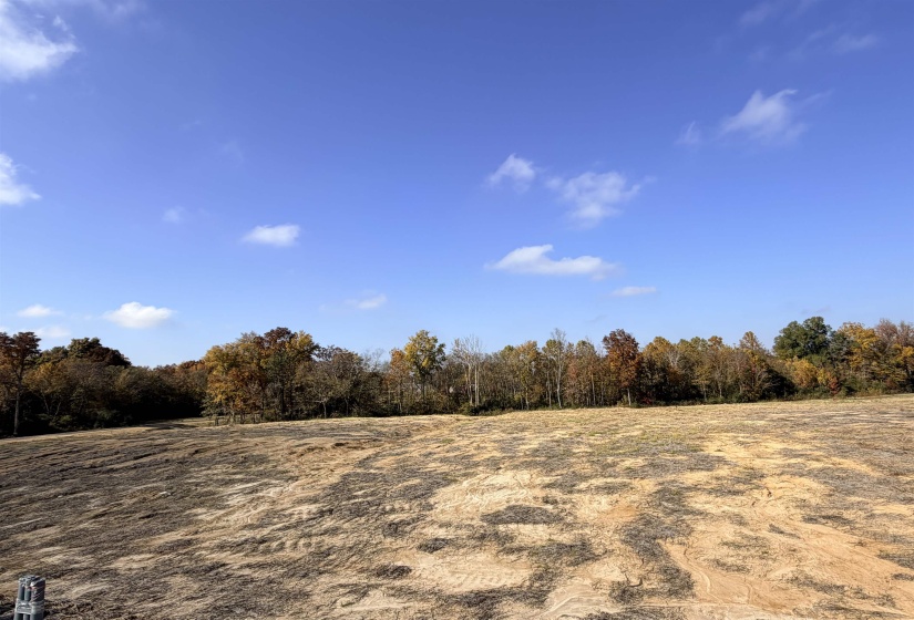 LOT 64 JACOBS RIDGE LN, Piperton, Tennessee 38017, ,Land,For Sale,JACOBS RIDGE,10209394