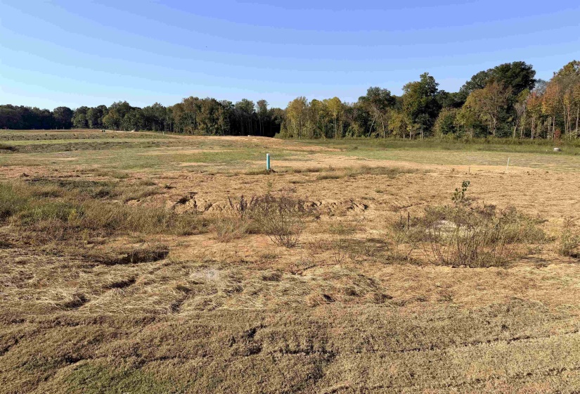 LOT 105 RUSSELL CREEK CIR, Piperton, Tennessee 38017, ,Land,For Sale,RUSSELL CREEK,10209398