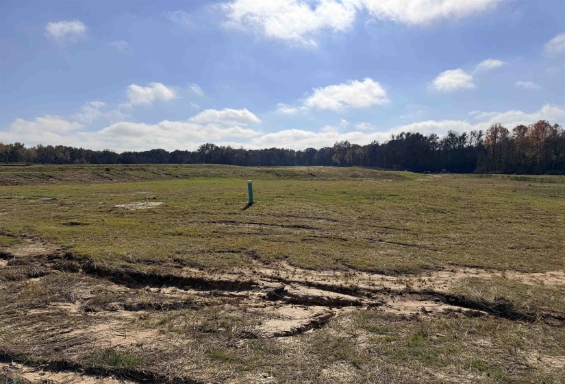 LOT 105 RUSSELL CREEK CIR, Piperton, Tennessee 38017, ,Land,For Sale,RUSSELL CREEK,10209398