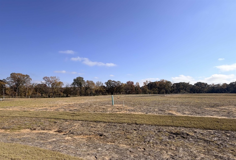 LOT 105 RUSSELL CREEK CIR, Piperton, Tennessee 38017, ,Land,For Sale,RUSSELL CREEK,10209398