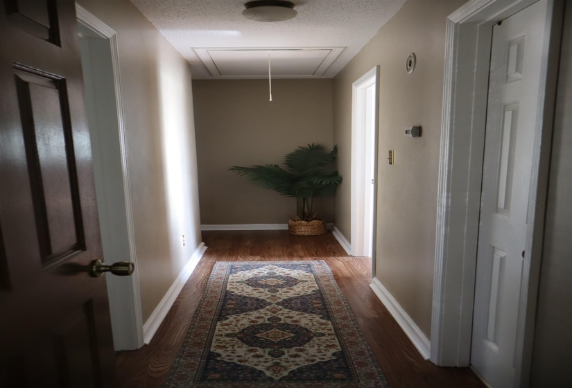Hallway with attic access, dark wood-style floors, and a textured ceiling