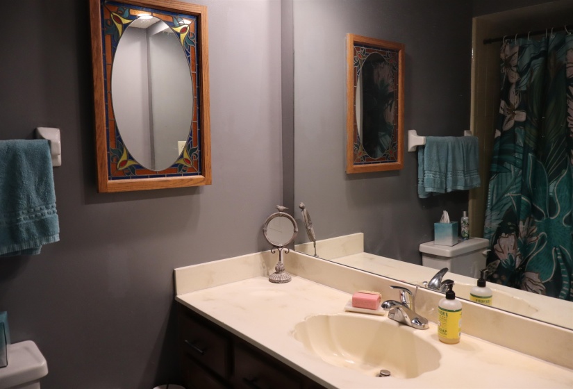 Full bath with vanity and curtained shower