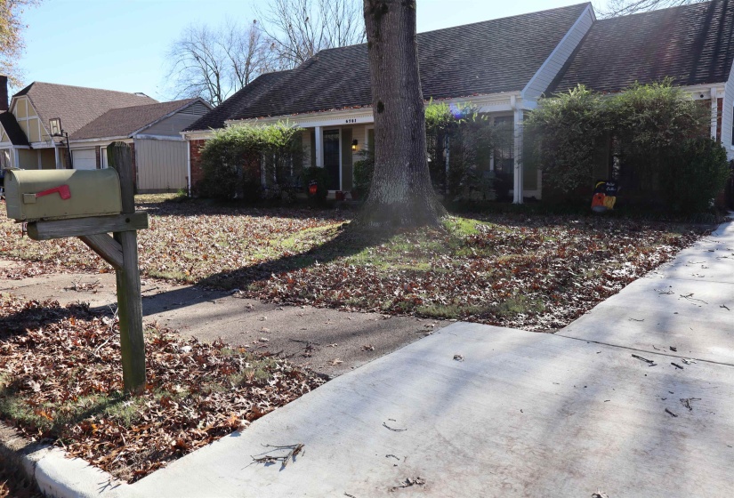 View of front of house with a shingled roof