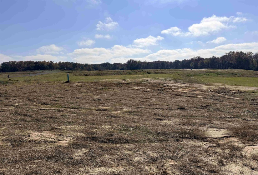 LOT 106 RUSSELL CREEK CIR, Piperton, Tennessee 38017, ,Land,For Sale,RUSSELL CREEK,10209400