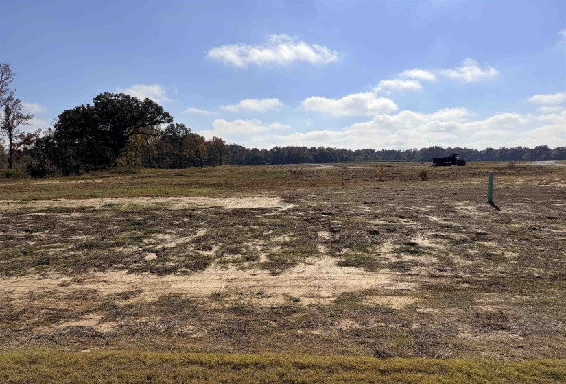 LOT 106 RUSSELL CREEK CIR, Piperton, Tennessee 38017, ,Land,For Sale,RUSSELL CREEK,10209400