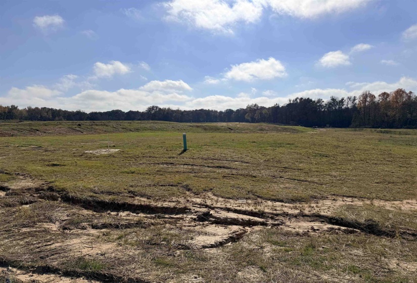 LOT 106 RUSSELL CREEK CIR, Piperton, Tennessee 38017, ,Land,For Sale,RUSSELL CREEK,10209400