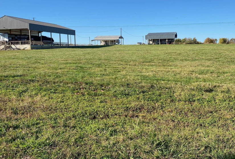 125 CATFISH LN, Crump, Tennessee 38327, ,Land,For Sale,CATFISH,10209472