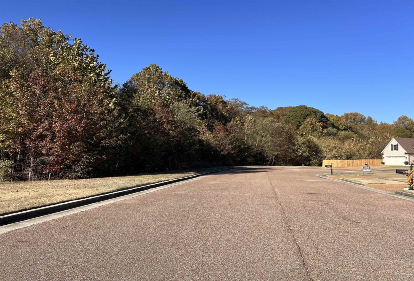 RED VINTAGE CV, Unincorporated, Tennessee 38016, ,Land,For Sale,RED VINTAGE,10209503