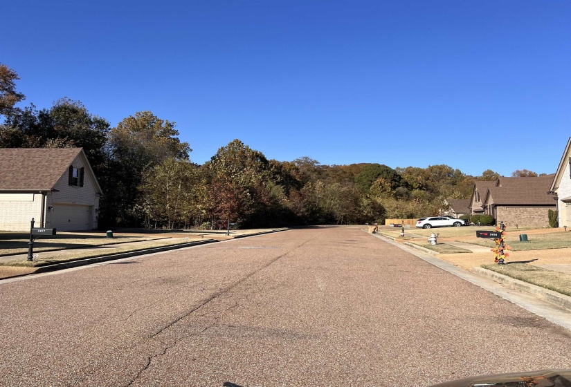 RED VINTAGE CV, Unincorporated, Tennessee 38016, ,Land,For Sale,RED VINTAGE,10209503