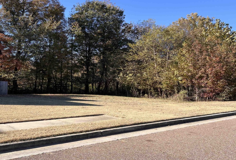 RED VINTAGE CV, Unincorporated, Tennessee 38016, ,Land,For Sale,RED VINTAGE,10209503