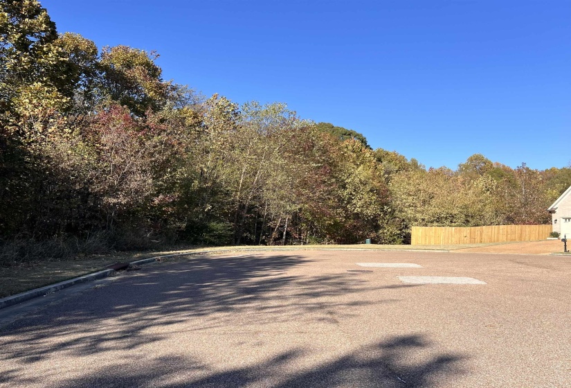 RED VINTAGE CV, Unincorporated, Tennessee 38016, ,Land,For Sale,RED VINTAGE,10209503