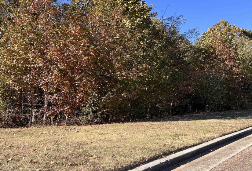 RED VINTAGE CV, Unincorporated, Tennessee 38016, ,Land,For Sale,RED VINTAGE,10209503