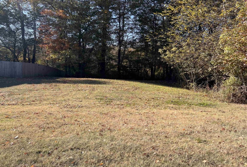 RED VINTAGE CV, Unincorporated, Tennessee 38016, ,Land,For Sale,RED VINTAGE,10209503