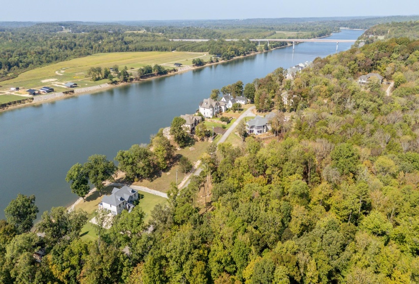 Bird's eye view of a forest and a large body of water