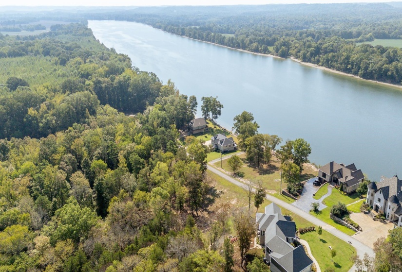 Aerial view of a forest and a large body of water