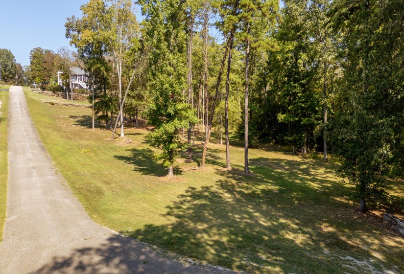View of home's community with a yard